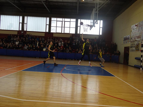 basket 2013